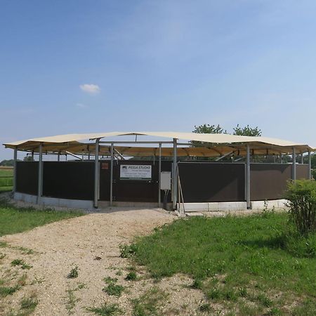 Holiday Home Domus Magna-3 By Interhome Povoletto Екстериор снимка